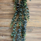 Baby Blue Eucalyptus Garland- 6ft each Rentals