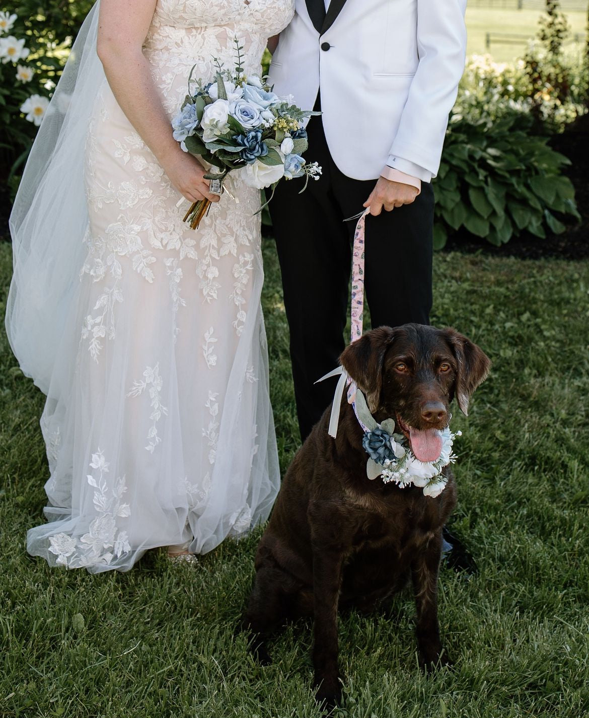 Dog collar corsage