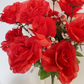 Custom Toss bouquet 8"inch all roses